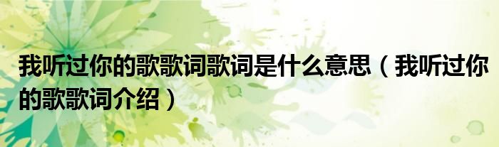我聽過你的歌歌詞歌詞是什么意思（我聽過你的歌歌詞介紹）