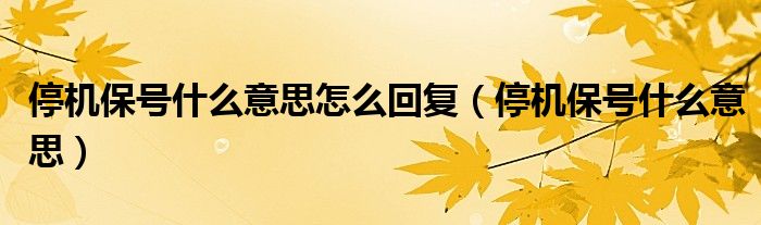 停機(jī)保號什么意思怎么回復(fù)（停機(jī)保號什么意思）