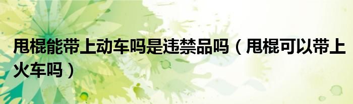 甩棍能帶上動(dòng)車(chē)嗎是違禁品嗎（甩棍可以帶上火車(chē)嗎）