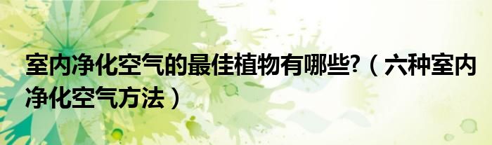 室內(nèi)凈化空氣的最佳植物有哪些?（六種室內(nèi)凈化空氣方法）