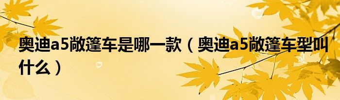 奧迪a5敞篷車是哪一款（奧迪a5敞篷車型叫什么）