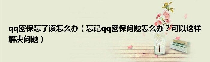 qq密保忘了該怎么辦（忘記qq密保問題怎么辦？可以這樣解決問題）