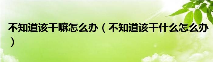 不知道該干嘛怎么辦（不知道該干什么怎么辦）