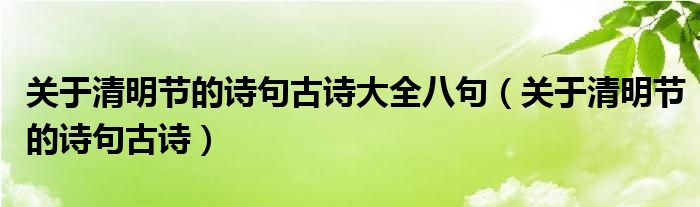 關(guān)于清明節(jié)的詩(shī)句古詩(shī)大全八句（關(guān)于清明節(jié)的詩(shī)句古詩(shī)）