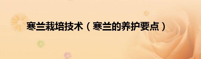 寒蘭栽培技術(shù)（寒蘭的養(yǎng)護要點）