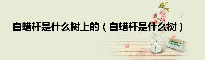 白蠟桿是什么樹上的（白蠟桿是什么樹）