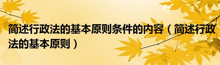 簡述行政法的基本原則條件的內(nèi)容（簡述行政法的基本原則）