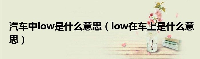 汽車中l(wèi)ow是什么意思（low在車上是什么意思）