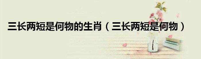 三長兩短是何物的生肖（三長兩短是何物）