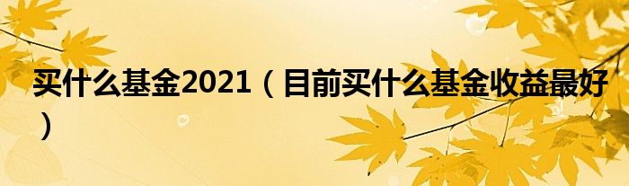 買什么基金2021（目前買什么基金收益最好）