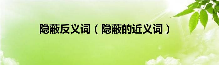 隱蔽反義詞（隱蔽的近義詞）