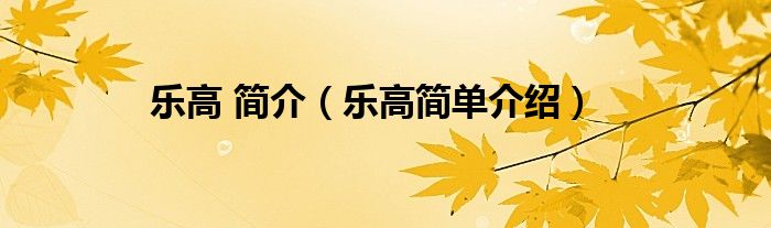 樂高 簡(jiǎn)介（樂高簡(jiǎn)單介紹）