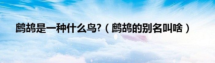 鷓鴣是一種什么鳥(niǎo)?（鷓鴣的別名叫啥）