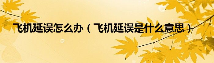 飛機延誤怎么辦（飛機延誤是什么意思）