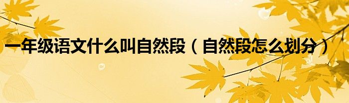 一年級語文什么叫自然段（自然段怎么劃分）