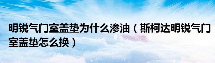 明銳氣門室蓋墊為什么滲油（斯柯達(dá)明銳氣門室蓋墊怎么換）