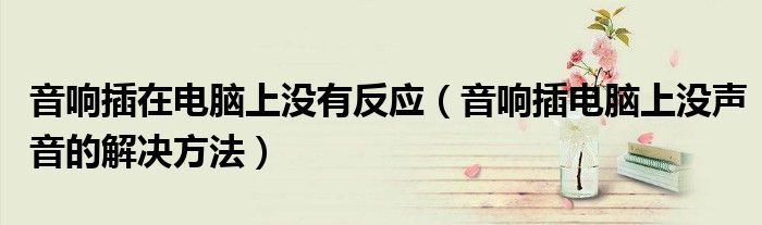 音響插在電腦上沒有反應(yīng)（音響插電腦上沒聲音的解決方法）