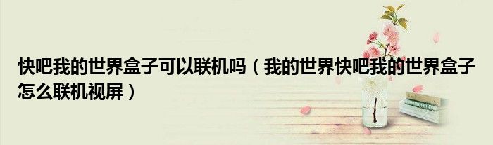 快吧我的世界盒子可以聯(lián)機(jī)嗎（我的世界快吧我的世界盒子怎么聯(lián)機(jī)視屏）