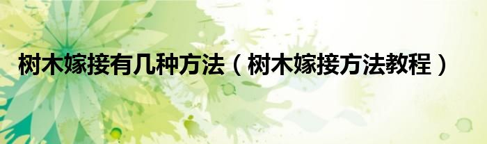 樹木嫁接有幾種方法（樹木嫁接方法教程）