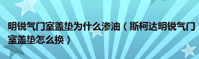 明銳氣門(mén)室蓋墊為什么滲油（斯柯達(dá)明銳氣門(mén)室蓋墊怎么換）