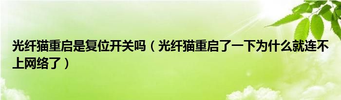 光纖貓重啟是復(fù)位開(kāi)關(guān)嗎（光纖貓重啟了一下為什么就連不上網(wǎng)絡(luò)了）