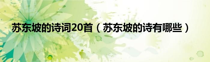 蘇東坡的詩詞20首（蘇東坡的詩有哪些）