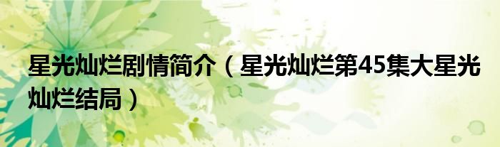 星光燦爛劇情簡介（星光燦爛第45集大星光燦爛結(jié)局）
