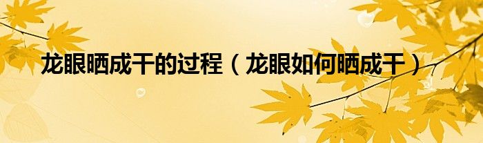 龍眼曬成干的過(guò)程（龍眼如何曬成干）