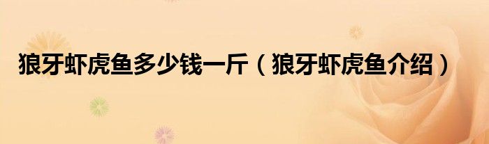 狼牙蝦虎魚多少錢一斤（狼牙蝦虎魚介紹）