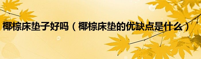 椰棕床墊子好嗎（椰棕床墊的優(yōu)缺點是什么）