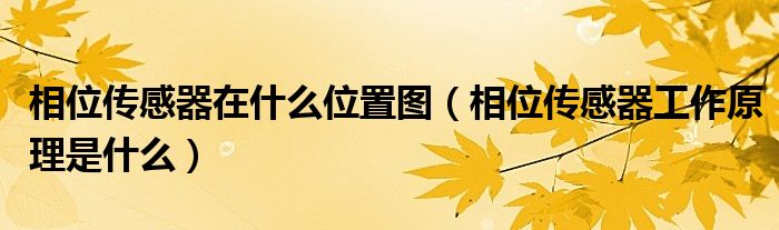 相位傳感器在什么位置圖（相位傳感器工作原理是什么）
