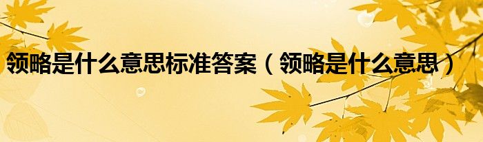 領(lǐng)略是什么意思標(biāo)準(zhǔn)答案（領(lǐng)略是什么意思）