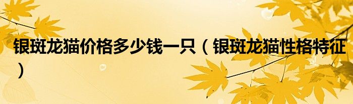 銀斑龍貓價(jià)格多少錢一只（銀斑龍貓性格特征）