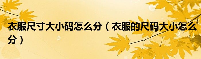 衣服尺寸大小碼怎么分（衣服的尺碼大小怎么分）