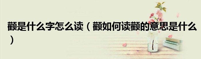 顴是什么字怎么讀（顴如何讀顴的意思是什么）