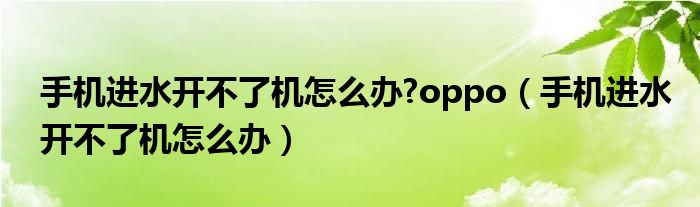 手機進水開不了機怎么辦?oppo（手機進水開不了機怎么辦）