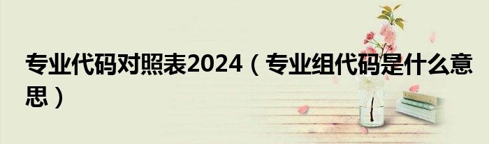 專業(yè)代碼對照表2024（專業(yè)組代碼是什么意思）