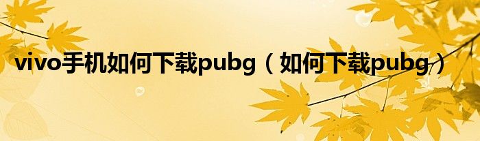 vivo手機如何下載pubg（如何下載pubg）
