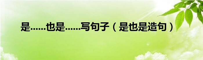 是......也是......寫句子（是也是造句）