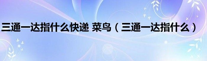 三通一達(dá)指什么快遞 菜鳥（三通一達(dá)指什么）
