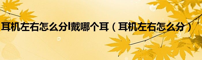 耳機(jī)左右怎么分l戴哪個(gè)耳（耳機(jī)左右怎么分）