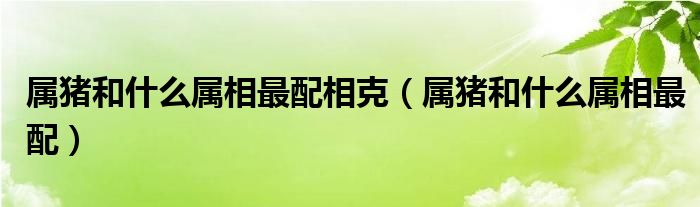 屬豬和什么屬相最配相克（屬豬和什么屬相最配）