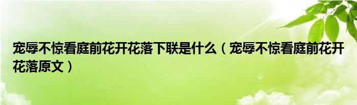 寵辱不驚看庭前花開花落下聯(lián)是什么（寵辱不驚看庭前花開花落原文）