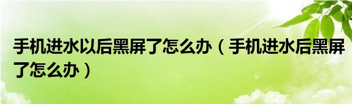 手機(jī)進(jìn)水以后黑屏了怎么辦（手機(jī)進(jìn)水后黑屏了怎么辦）
