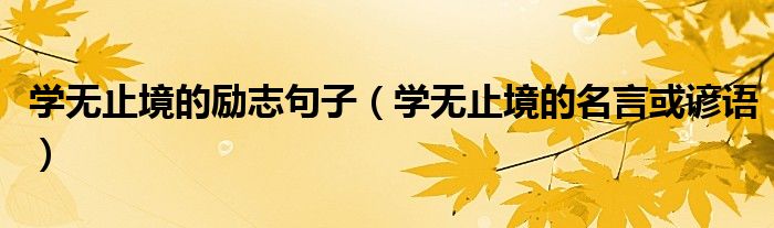 學(xué)無止境的勵(lì)志句子（學(xué)無止境的名言或諺語）