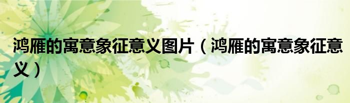 鴻雁的寓意象征意義圖片（鴻雁的寓意象征意義）