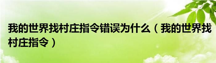 我的世界找村莊指令錯誤為什么（我的世界找村莊指令）