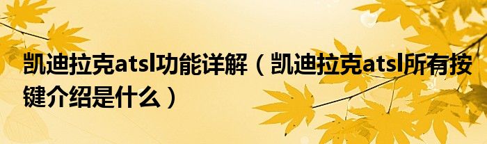 凱迪拉克atsl功能詳解（凱迪拉克atsl所有按鍵介紹是什么）