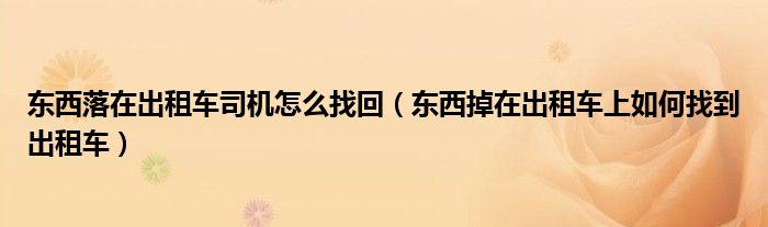 東西落在出租車司機(jī)怎么找回（東西掉在出租車上如何找到出租車）