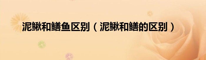 泥鰍和鱔魚區(qū)別（泥鰍和鱔的區(qū)別）